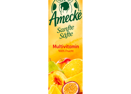 Amecke Sanfte Säfte Multivitamin 1l