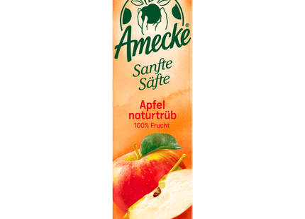 Amecke Sanfte Säfte Apfel naturtrüb 1l