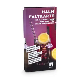 20 cm Glas-Trinkhalm Set in Faltkarte - Individuell & Öko TK Gruppe® Grosshandel 