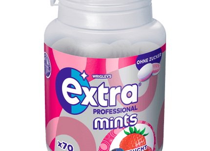 Wrigley's Extra Mints Professional Waldfrucht 70 Pastillen