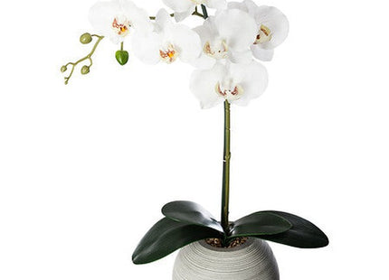 Künstliche Orchidee Zementtopf H53cm