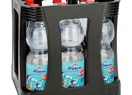 SCHLOSSBRUNNEN SPORT Mineralwasser 1,0 l