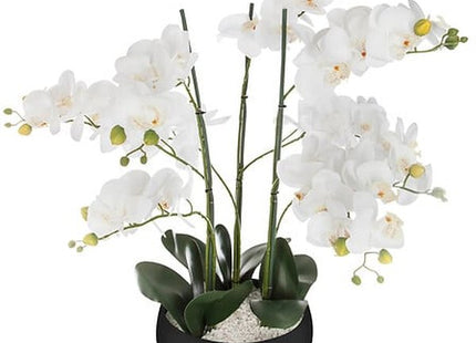 Künstliche Orchidee Topf Keramik schwarz H65cm