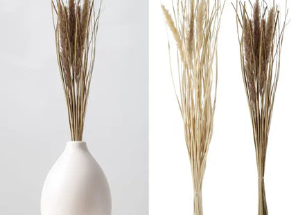 2er Set Foxtail Trockenblumen-Bunde - Langes Rustikales Dekor, ca. 85-90cm TK Gruppe® Grosshandel 