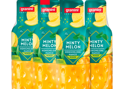 Granini Sensation Minty Melon 6x0,75l