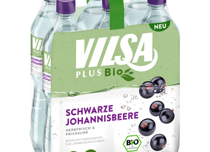 Vilsa Plus Bio Schwarze Johannisbeere 6x1l