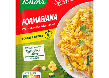 Knorr Spaghetteria Formagiana 163g