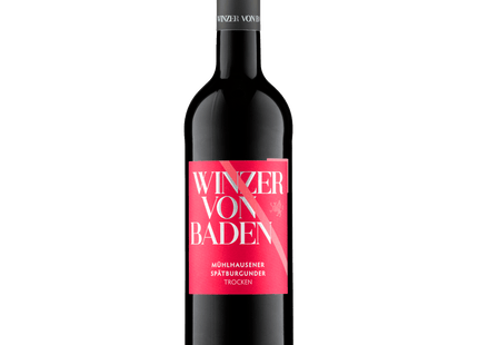 Winzer von Baden Rotwein Spätburgunder QbA trocken 0,75l