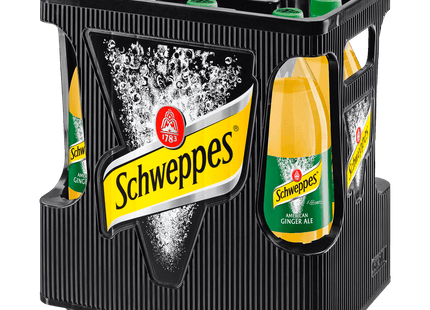 Schweppes Ginger Ale 6x1l