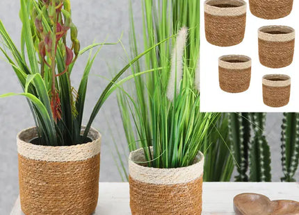 5-teiliges Set Pflanzkörbe aus Seegras in Naturweiß – Stilvolle Aufbewahrung TK Gruppe® Grosshandel 