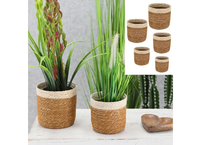 5-teiliges Set Pflanzkörbe aus Seegras in Naturweiß – Stilvolle Aufbewahrung TK Gruppe® Grosshandel 