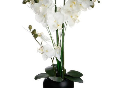 Künstliche Orchidee Keramikvase schwarz H53cm