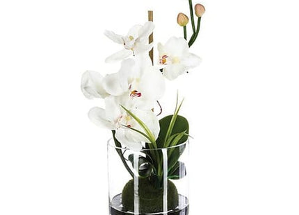 Künstliche Orchideen Komposition Glasvase H37cm