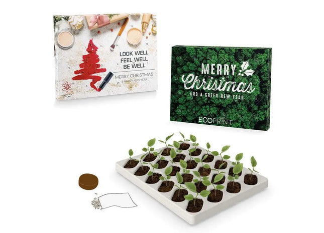 Adventskalender mit Pflanzsets - Täglich ein neuer Samen wächst TK Gruppe® Grosshandel 