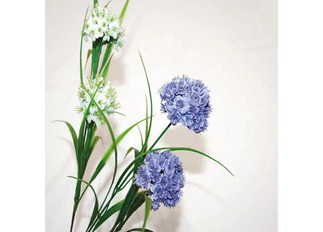 Afrikanische Lilie mit 2 Kugelblüten, 62cm - Elegante Dekorationspflanze TK Gruppe® Grosshandel 