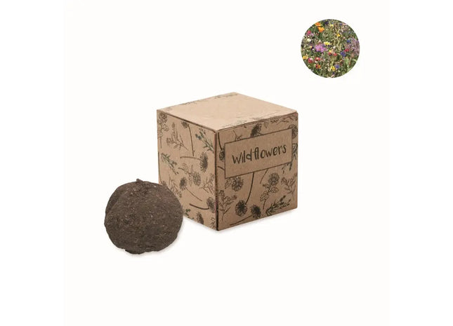 BOMBI Wildblumen Saat-Set - Natürlich & Schick in Beige TK Gruppe® Grosshandel 