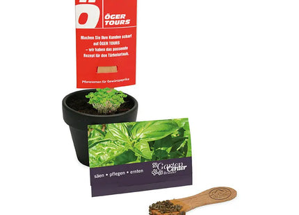 Basilikum Pflanz-Stick mit personalisierter Gravur in dekorativer Karte TK Gruppe® Grosshandel 