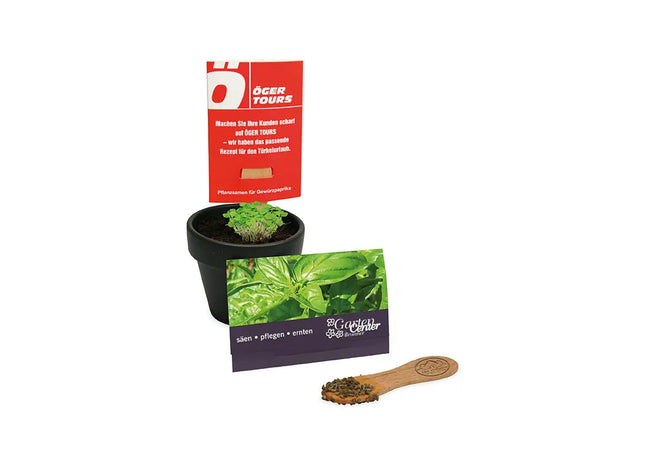Basilikum Pflanz-Stick mit personalisierter Gravur in dekorativer Karte TK Gruppe® Grosshandel 