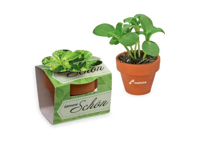 Bedruckte Keramiktopf-Blume mit Schleifenband - Basilikum Pflanzset TK Gruppe® Grosshandel 