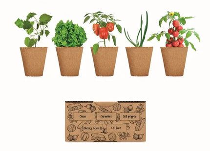 Beige SALAD Kit – Einfaches Anbau-Set für frischen Salat zu Hause TK Gruppe® Grosshandel 