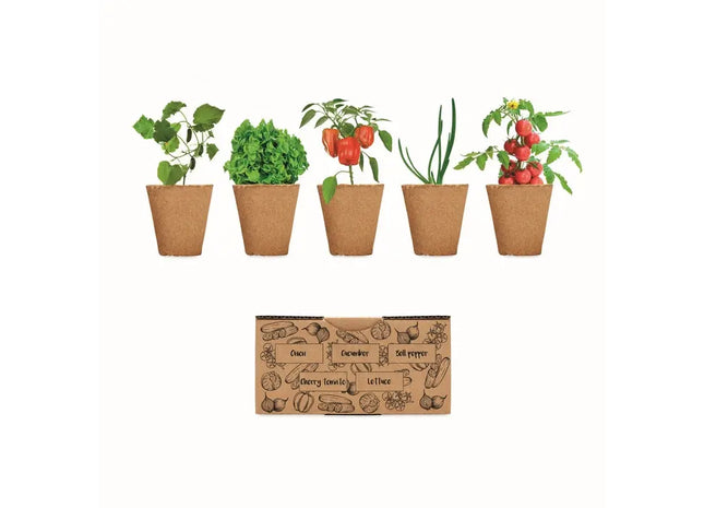 Beige SALAD Kit – Einfaches Anbau-Set für frischen Salat zu Hause TK Gruppe® Grosshandel 