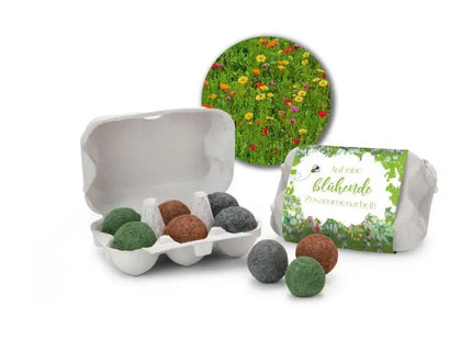 Bienenweide im Eierkarton, 6 Saatkugeln - Blühende Zusammenarbeit Motiv TK Gruppe® Grosshandel 
