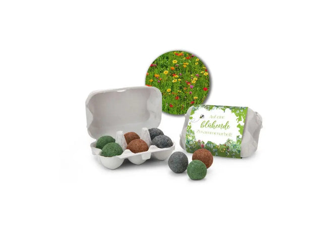 Bienenweide im Eierkarton, 6 Saatkugeln - Blühende Zusammenarbeit Motiv TK Gruppe® Grosshandel 