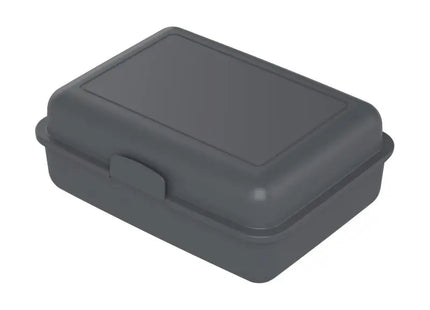 Bio Large School-Box Storage Container - Slate, Eco-Friendly, Durable, Spacious TK Gruppe® Grosshandel 