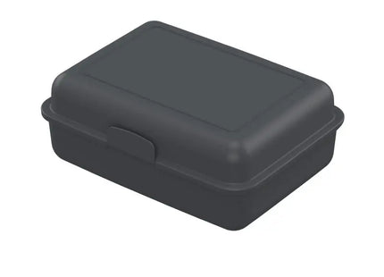 Bio Snack Container Pause-Box - Slate, Eco-Friendly, Stylish, Compact Storage TK Gruppe® Grosshandel 