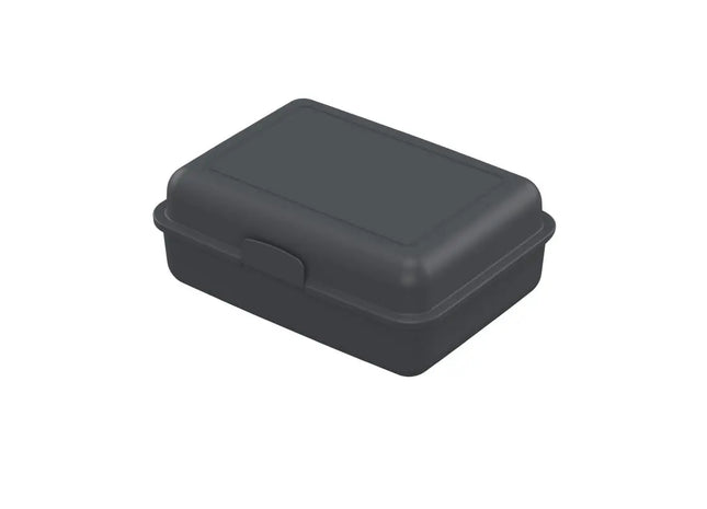 Bio Snack Container Pause-Box - Slate, Eco-Friendly, Stylish, Compact Storage TK Gruppe® Grosshandel 