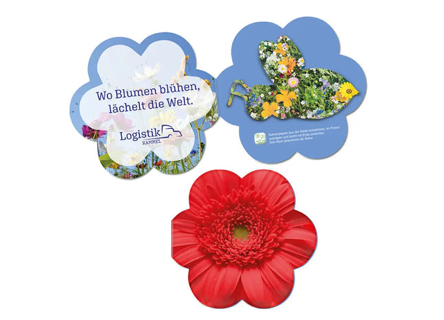 Blumen & Bienchen Samenpapier-Klappkarte - Nachhaltiges Geschenk TK Gruppe® Grosshandel 