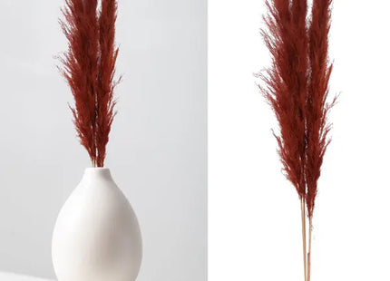 Braunes Federgras, 3er-Paket, ca. 140-160cm L - Rustikale Dekoration für Zuhause TK Gruppe® Grosshandel 