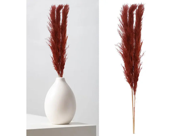 Braunes Federgras, 3er-Paket, ca. 140-160cm L - Rustikale Dekoration für Zuhause TK Gruppe® Grosshandel 