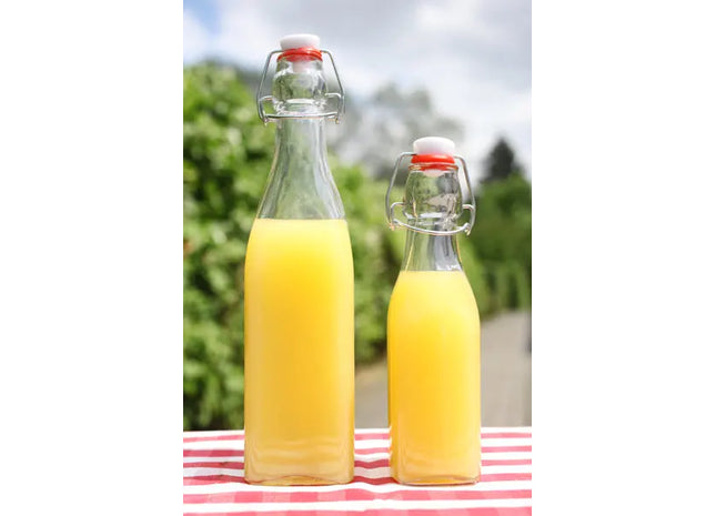 Bügelflasche, eckig, 250ml - Wiederverwendbare, luftdichte Glasflasche für Getränke TK Gruppe® Grosshandel 