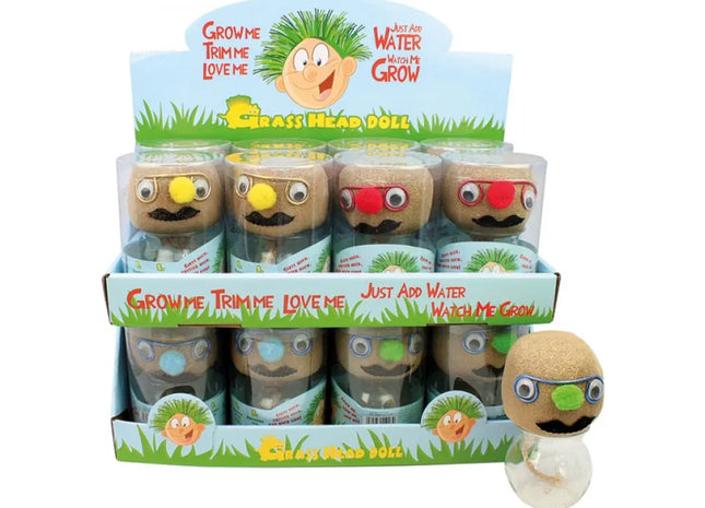 Bunte Grasköpfe mit Samen gefüllt, 4 Farben sortiert, Lernspielzeug TK Gruppe® Grosshandel 