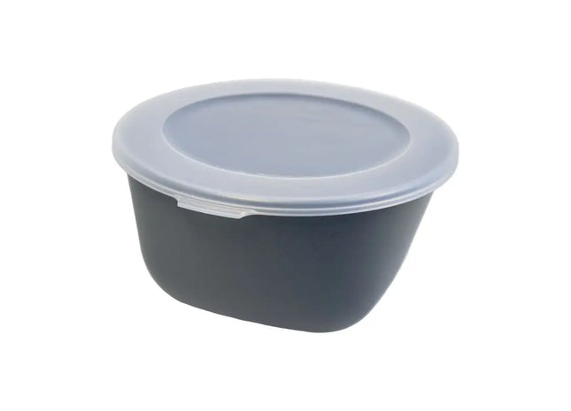 CONNECT BOX 2 - Nature Ash Grey, 2L Box mit durchsichtigem Deckel, Vielseitige Aufbewahrungsbox TK Gruppe® Grosshandel 