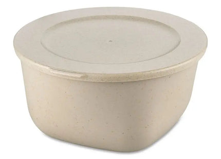 CONNECT BOX 2000 ml mit Deckel - Nature Desert Sand, Große Vielseitige Aufbewahrungsbox TK Gruppe® Grosshandel 