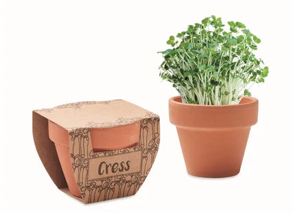 CRESS POT Terrakotta-Topf für Kresse - Natürliches Holzdesign TK Gruppe® Grosshandel 