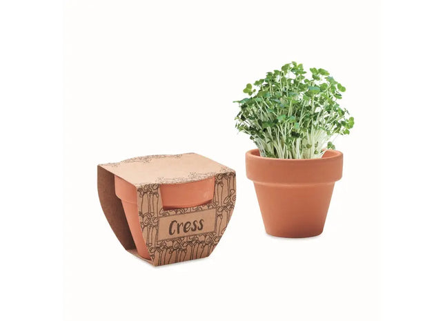 CRESS POT Terrakotta-Topf für Kresse - Natürliches Holzdesign TK Gruppe® Grosshandel 