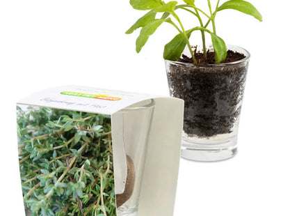 Caffeino-Glas mit Bedruckter Sonnenblumen-Banderole - Stilvoll & Nachhaltig TK Gruppe® Grosshandel 