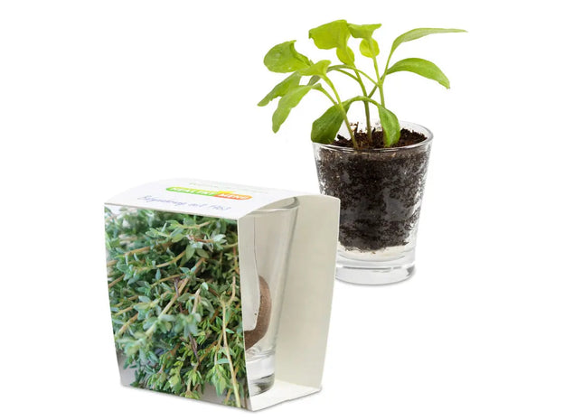 Caffeino-Glas mit Bedruckter Sonnenblumen-Banderole - Stilvoll & Nachhaltig TK Gruppe® Grosshandel 