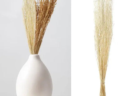 Coriander Gras Trockenblumen-Bund - Natürliches Hochdekor, ca. 85-90cm TK Gruppe® Grosshandel 