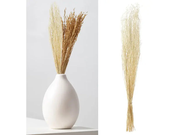 Coriander Gras Trockenblumen-Bund - Natürliches Hochdekor, ca. 85-90cm TK Gruppe® Grosshandel 