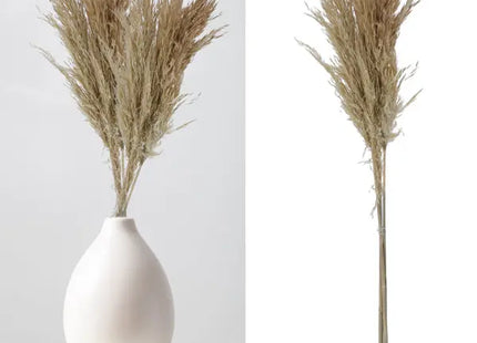 Cremefarbenes Pampasgras Set - 3 Halme, 90-100cm Länge TK Gruppe® Grosshandel 