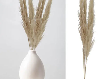 Cremiges Federgras, 3er-Paket, ca. 140-160cm L - Elegante Dekoration für Zuhause TK Gruppe® Grosshandel 