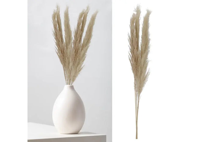 Cremiges Federgras, 3er-Paket, ca. 140-160cm L - Elegante Dekoration für Zuhause TK Gruppe® Grosshandel 