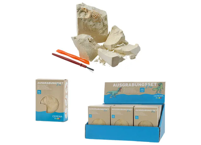 Dino-Skelett Ausgrabungsset, ca. 8 cm Hoch – Pädagogisches Spielzeug TK Gruppe® Grosshandel 