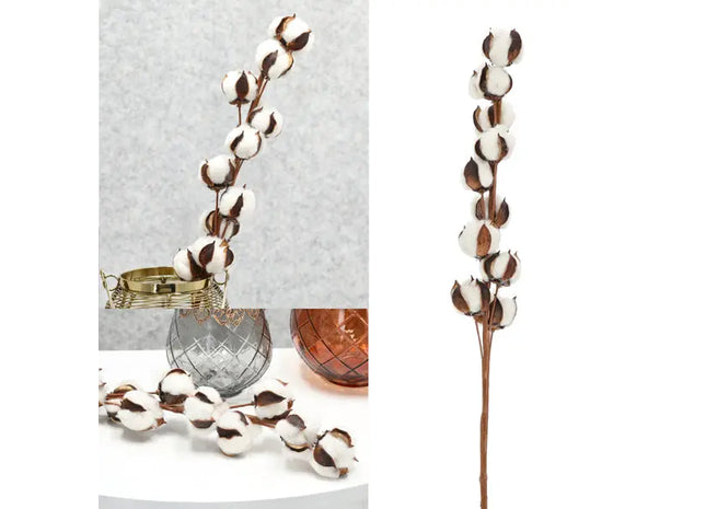 Edler Baumwollzweig mit 10 Blütenköpfen, ca. 68 cm - Dekorativer Naturzweig TK Gruppe® Grosshandel 