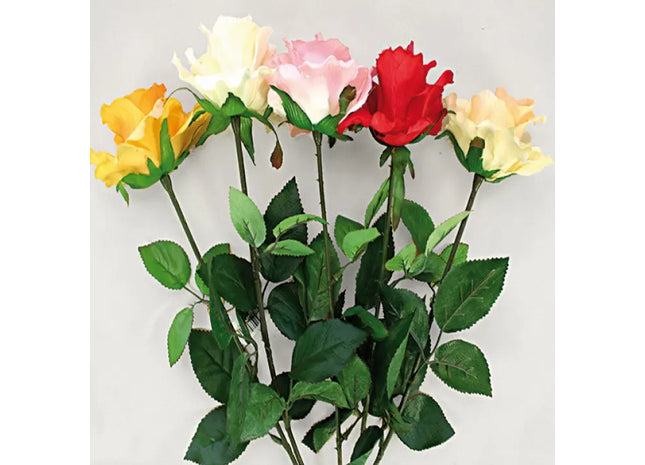 Extra Long 68cm Open Bloom Rose - Assorted in 5 Colors for Stunning Home Decor and Events TK Gruppe® Grosshandel 