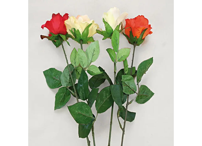 Extra Long 68cm Semi-Bloom Rose - Available in 4 Gorgeous Colors for Home Decor and Events TK Gruppe® Grosshandel 